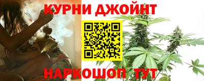 гидра Заволжье
