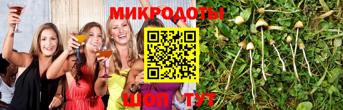 Дальнегорск  Галлюциногенные грибы GOLDEN TEACHER  Вход с VPN 