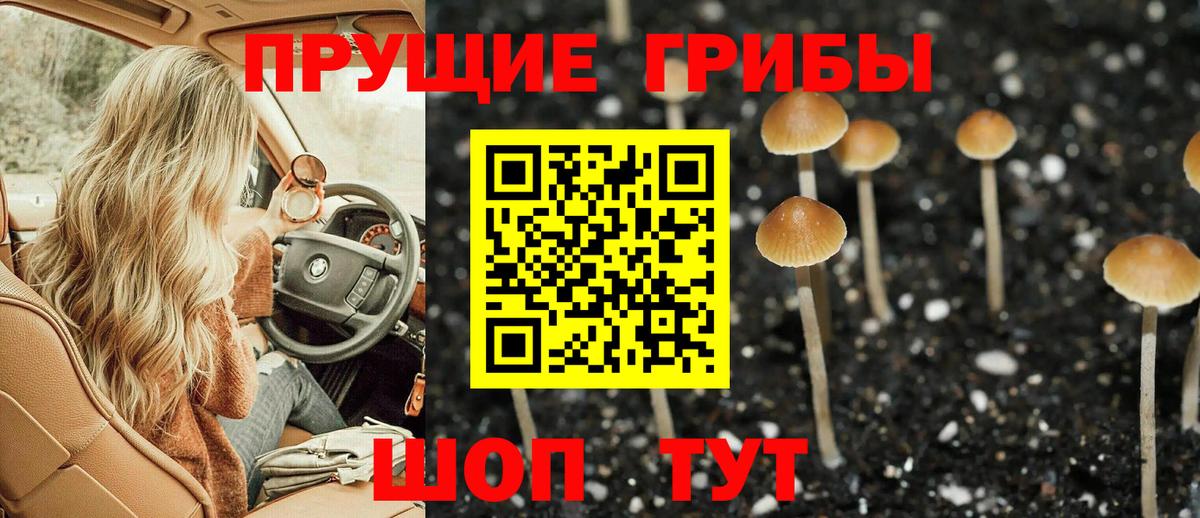 Галлюциногенные грибы Cubensis Дальнегорск